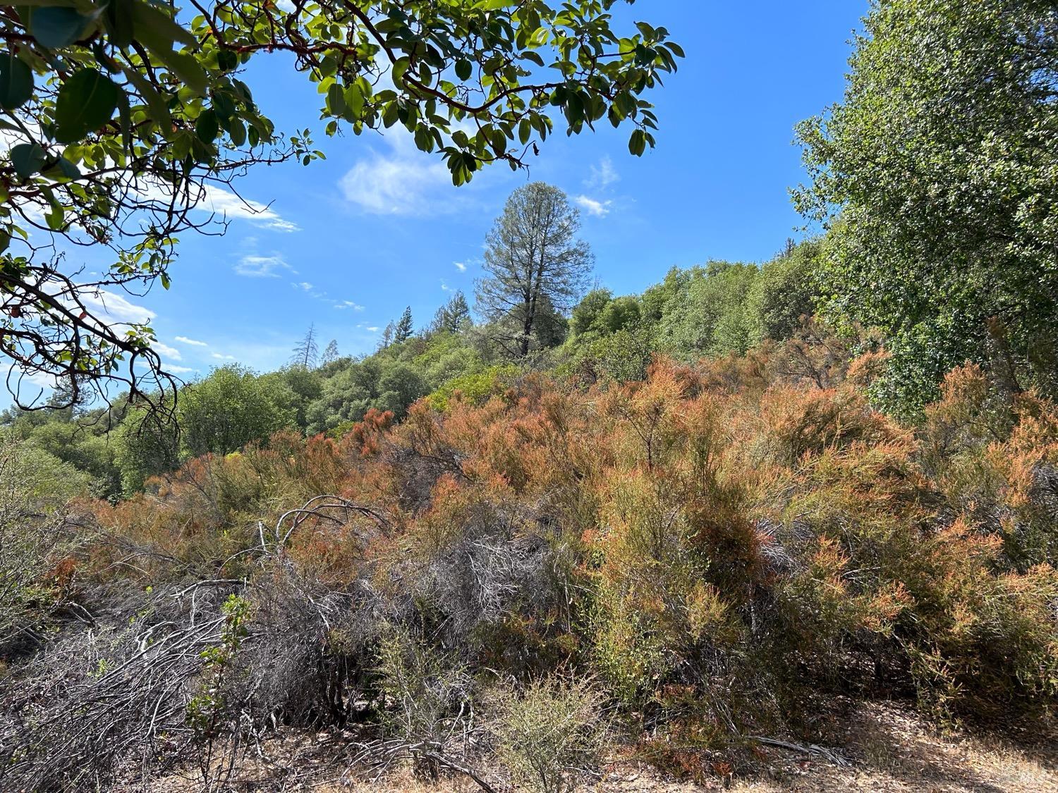 Detail Gallery Image 14 of 34 For 73046 Hill Rd, Covelo,  CA 95428 - 1 Beds | 1 Baths