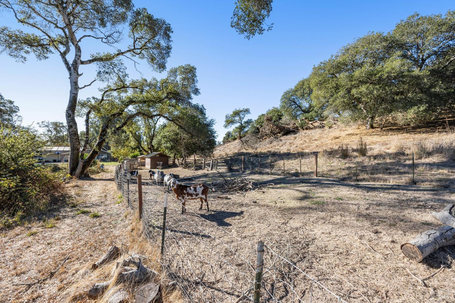 Detail Gallery Image 32 of 32 For 303 Orchard Ln, Penngrove,  CA 94951 - 3 Beds | 2 Baths