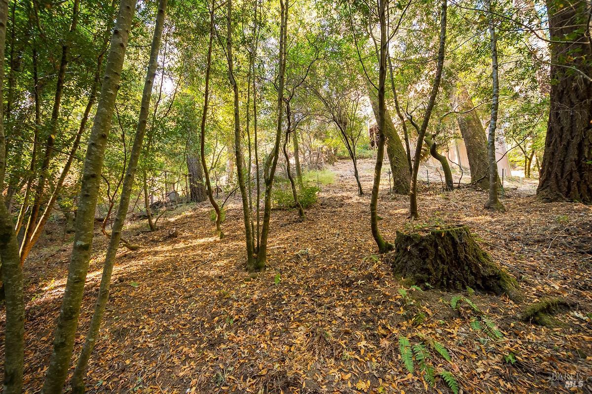 Detail Gallery Image 15 of 17 For 300 Montezuma Ave, Forest Knolls,  CA 94933 - 1 Beds | 1 Baths