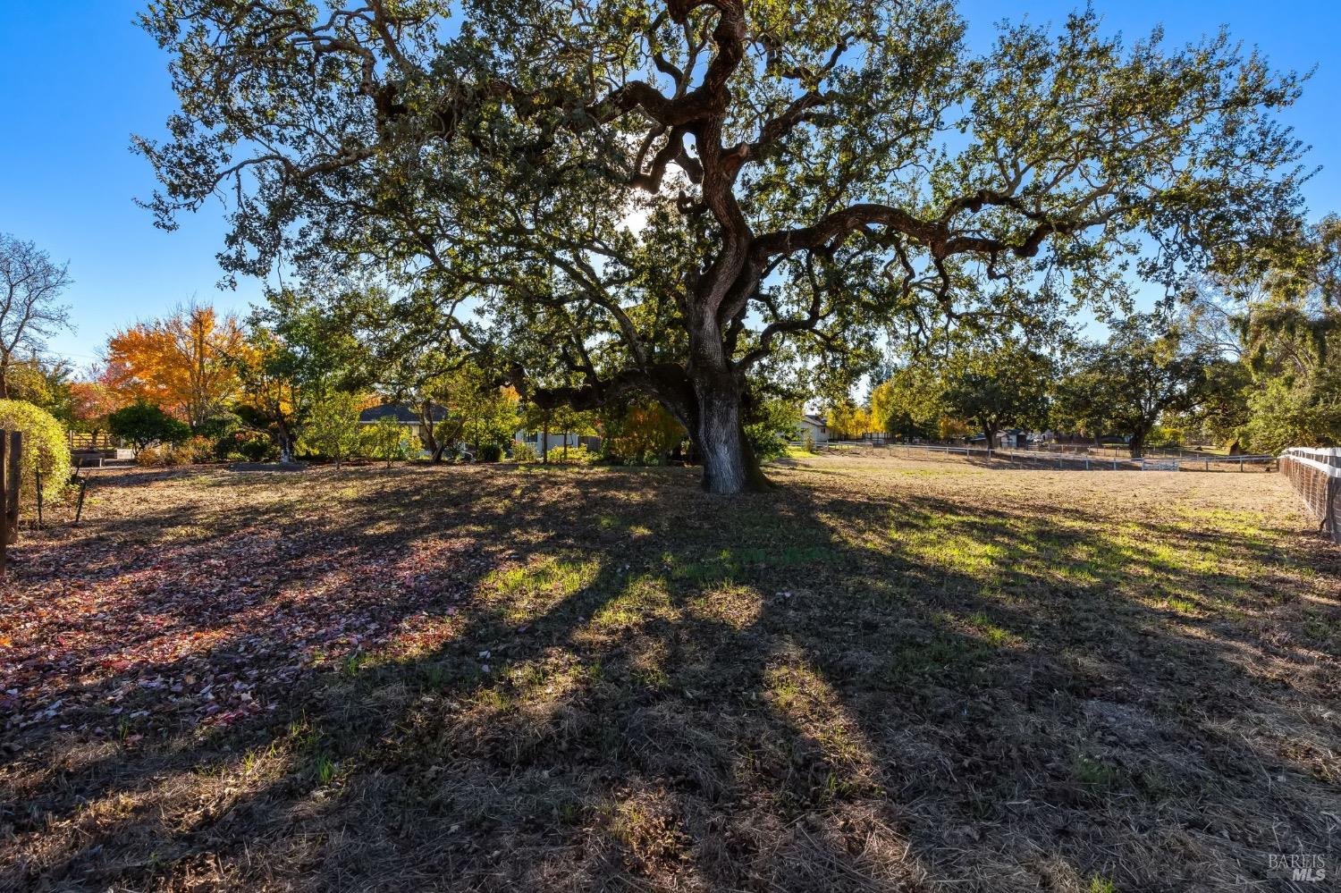 Detail Gallery Image 46 of 56 For 1566 Olivet Rd, Santa Rosa,  CA 95401 - 4 Beds | 3 Baths