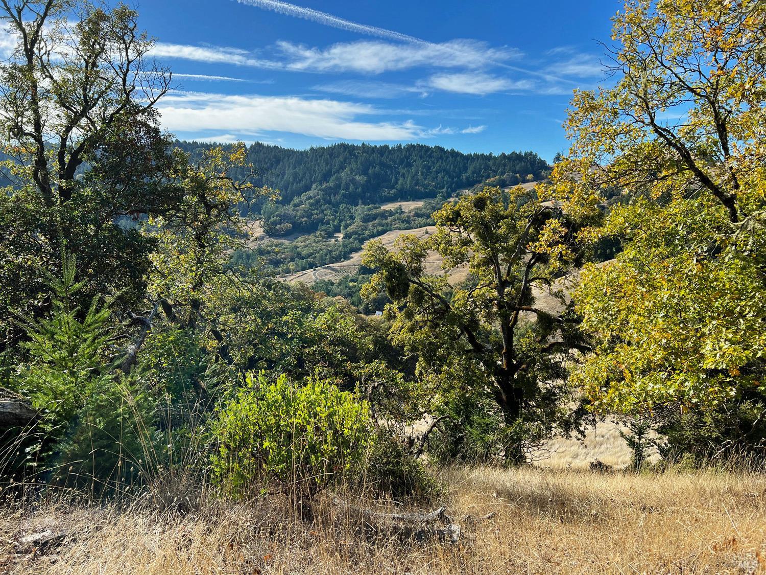 Detail Gallery Image 7 of 16 For 4701 Running Springs Rd, Ukiah,  CA 95482 - – Beds | – Baths