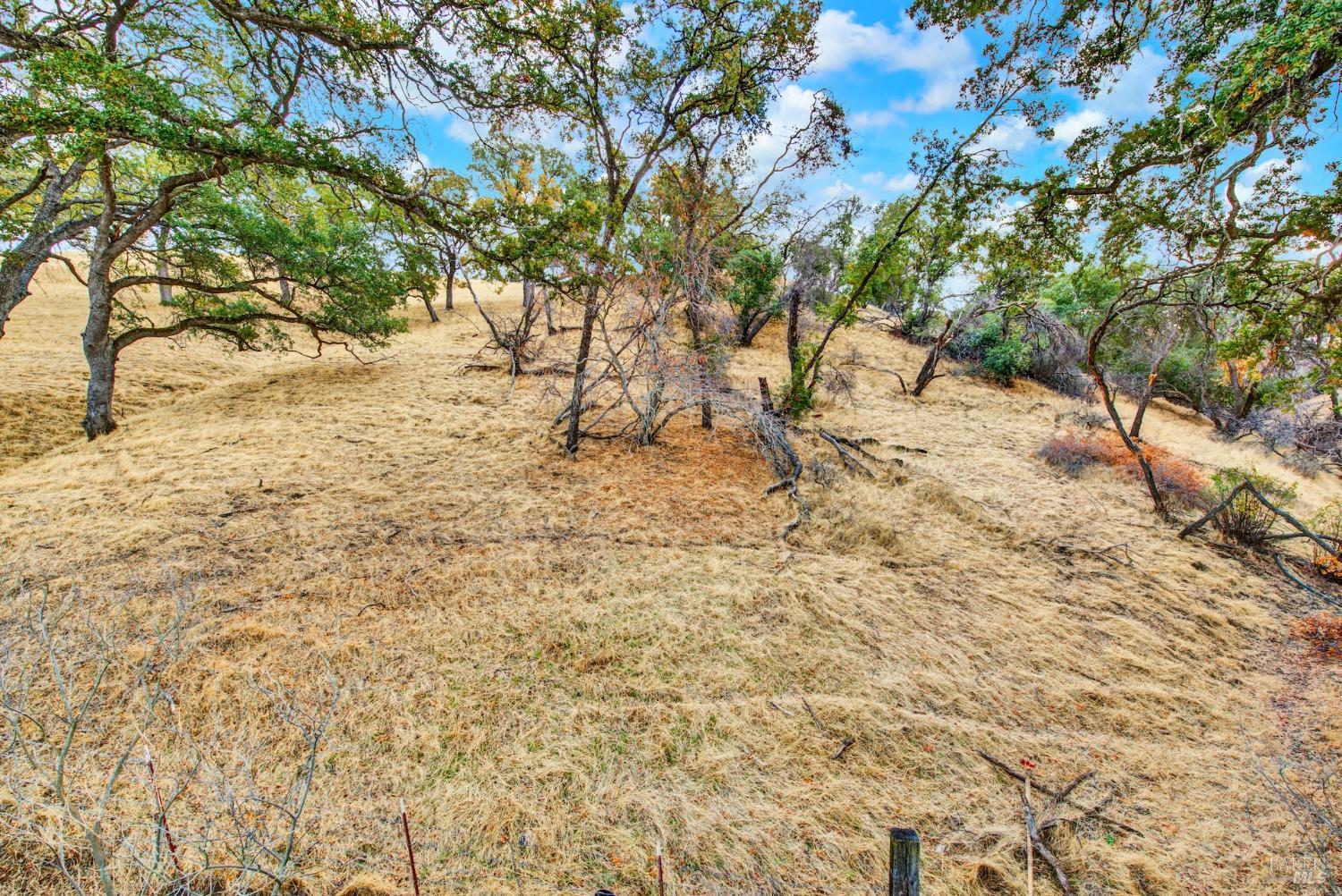 Detail Gallery Image 91 of 99 For 8226 Olive School Ln, Winters,  CA 95694 - 3 Beds | 2/1 Baths