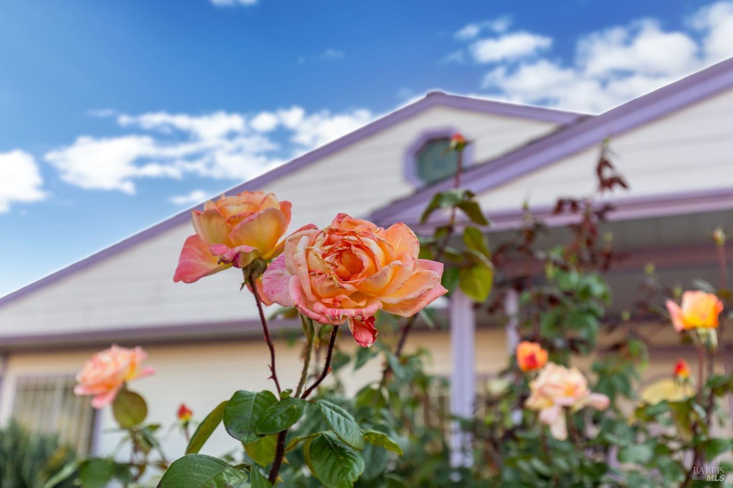 Detail Gallery Image 38 of 43 For 1037 Sheridan St, Vallejo,  CA 94590 - 3 Beds | 2 Baths