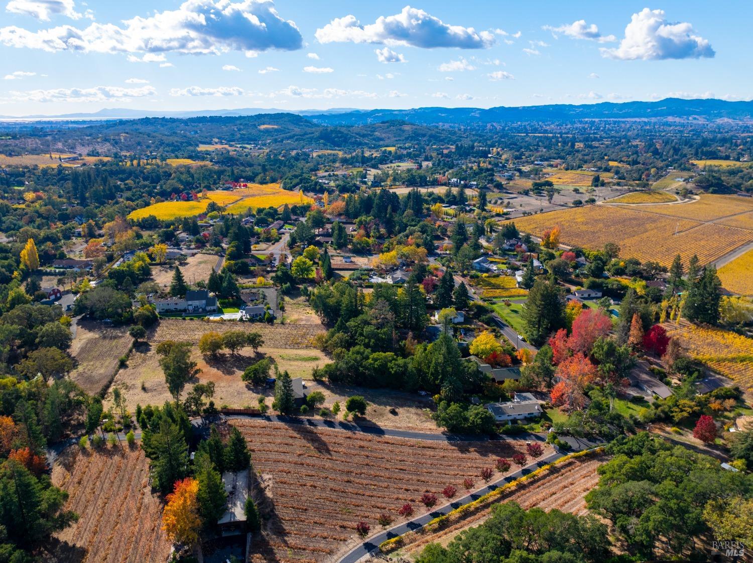 Detail Gallery Image 55 of 62 For 1039 Mount George Ave, Napa,  CA 94558 - 3 Beds | 2 Baths