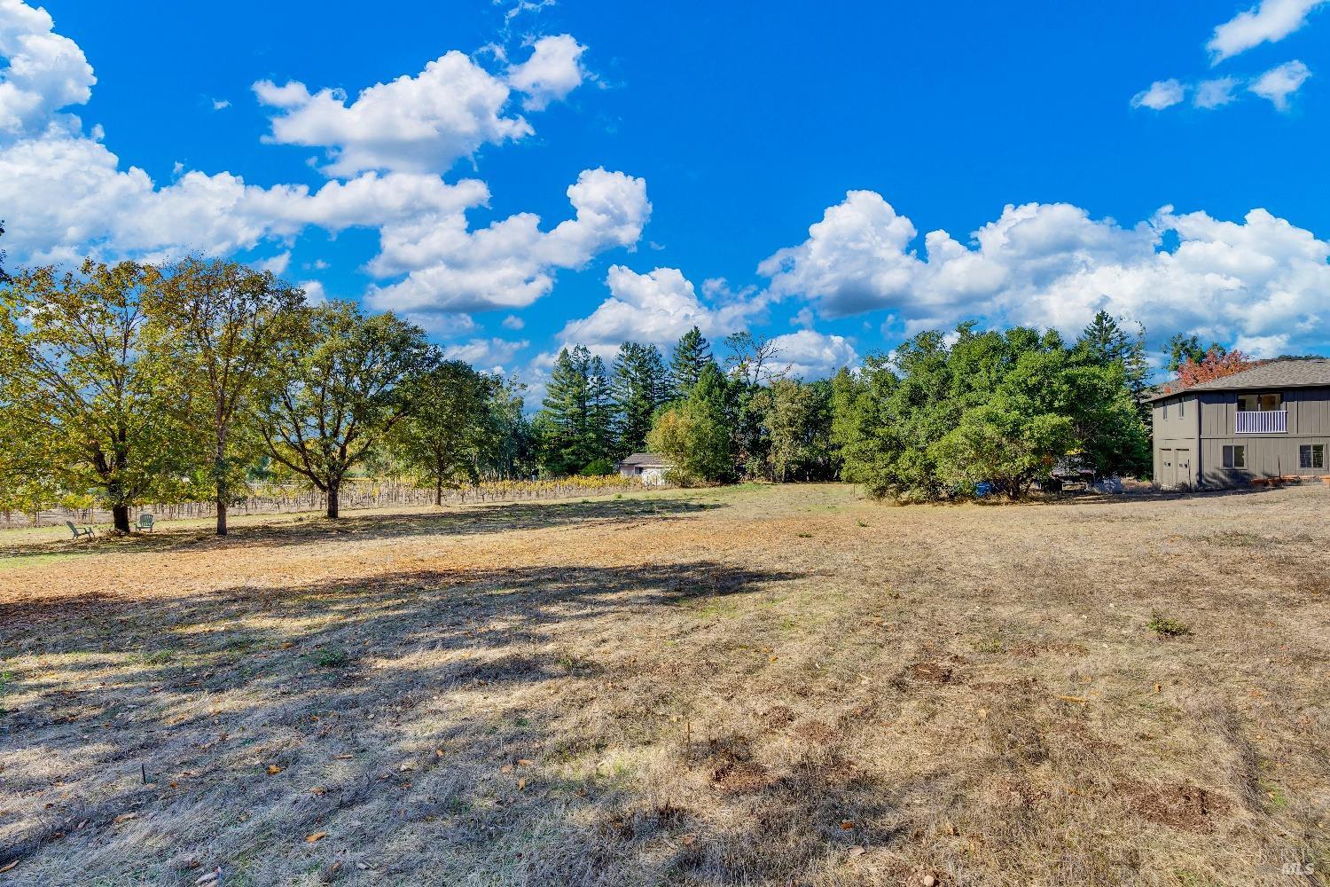 Detail Gallery Image 40 of 62 For 1039 Mount George Ave, Napa,  CA 94558 - 3 Beds | 2 Baths