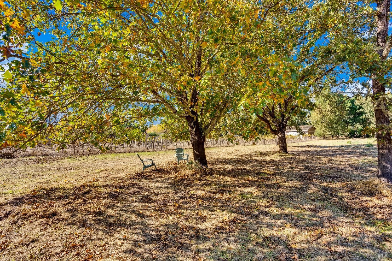 Detail Gallery Image 42 of 62 For 1039 Mount George Ave, Napa,  CA 94558 - 3 Beds | 2 Baths