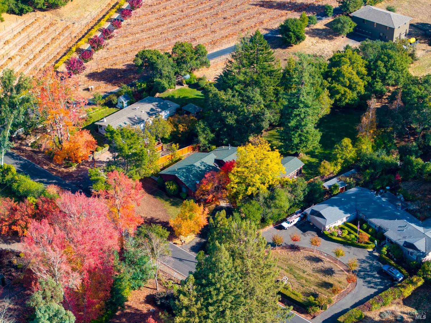 Detail Gallery Image 52 of 62 For 1039 Mount George Ave, Napa,  CA 94558 - 3 Beds | 2 Baths