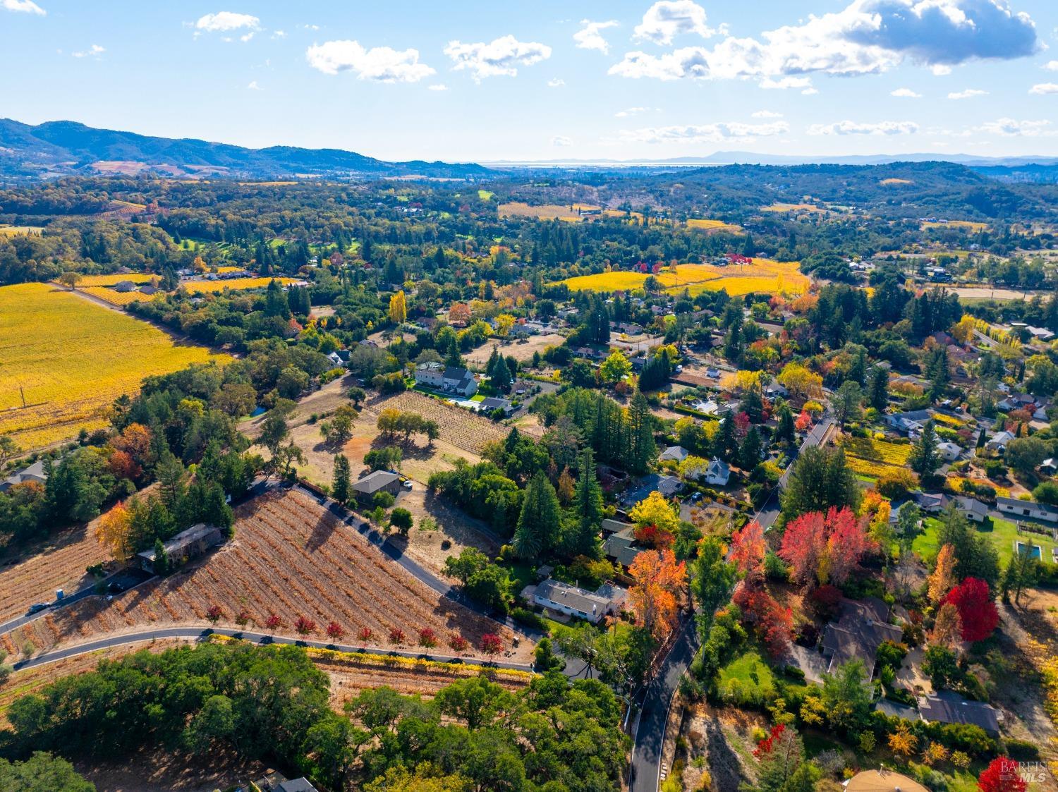 Detail Gallery Image 54 of 62 For 1039 Mount George Ave, Napa,  CA 94558 - 3 Beds | 2 Baths