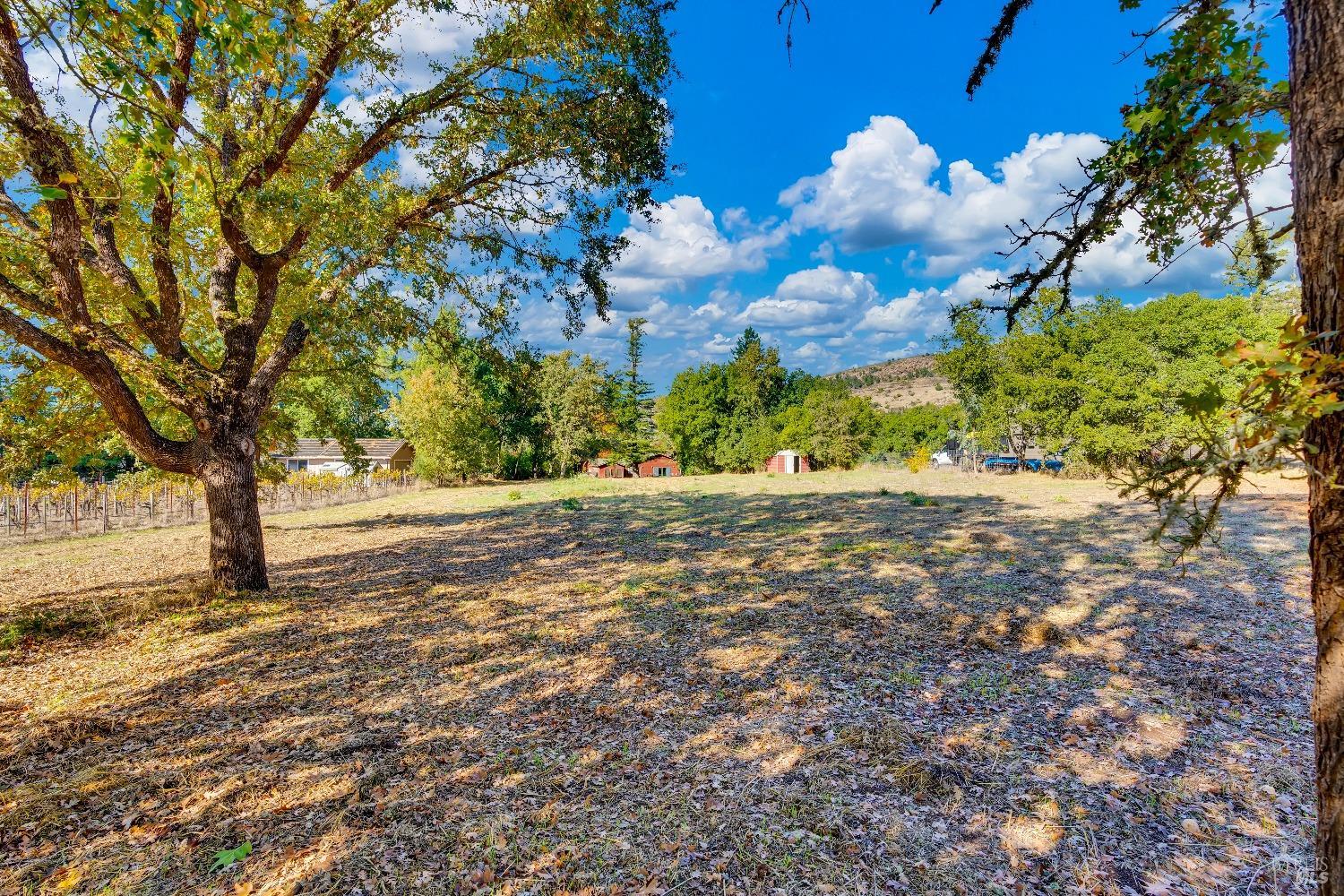 Detail Gallery Image 43 of 62 For 1039 Mount George Ave, Napa,  CA 94558 - 3 Beds | 2 Baths