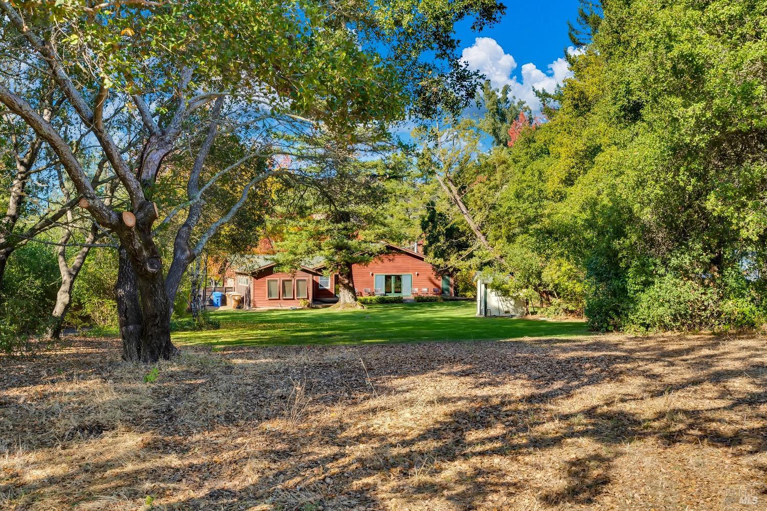 Detail Gallery Image 44 of 62 For 1039 Mount George Ave, Napa,  CA 94558 - 3 Beds | 2 Baths