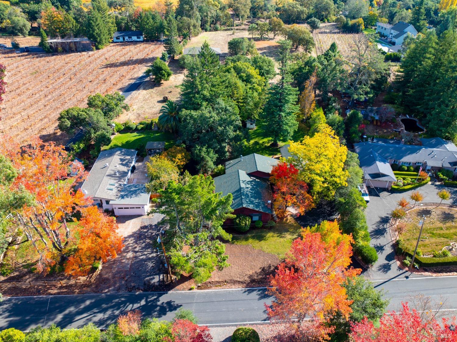 Detail Gallery Image 60 of 62 For 1039 Mount George Ave, Napa,  CA 94558 - 3 Beds | 2 Baths