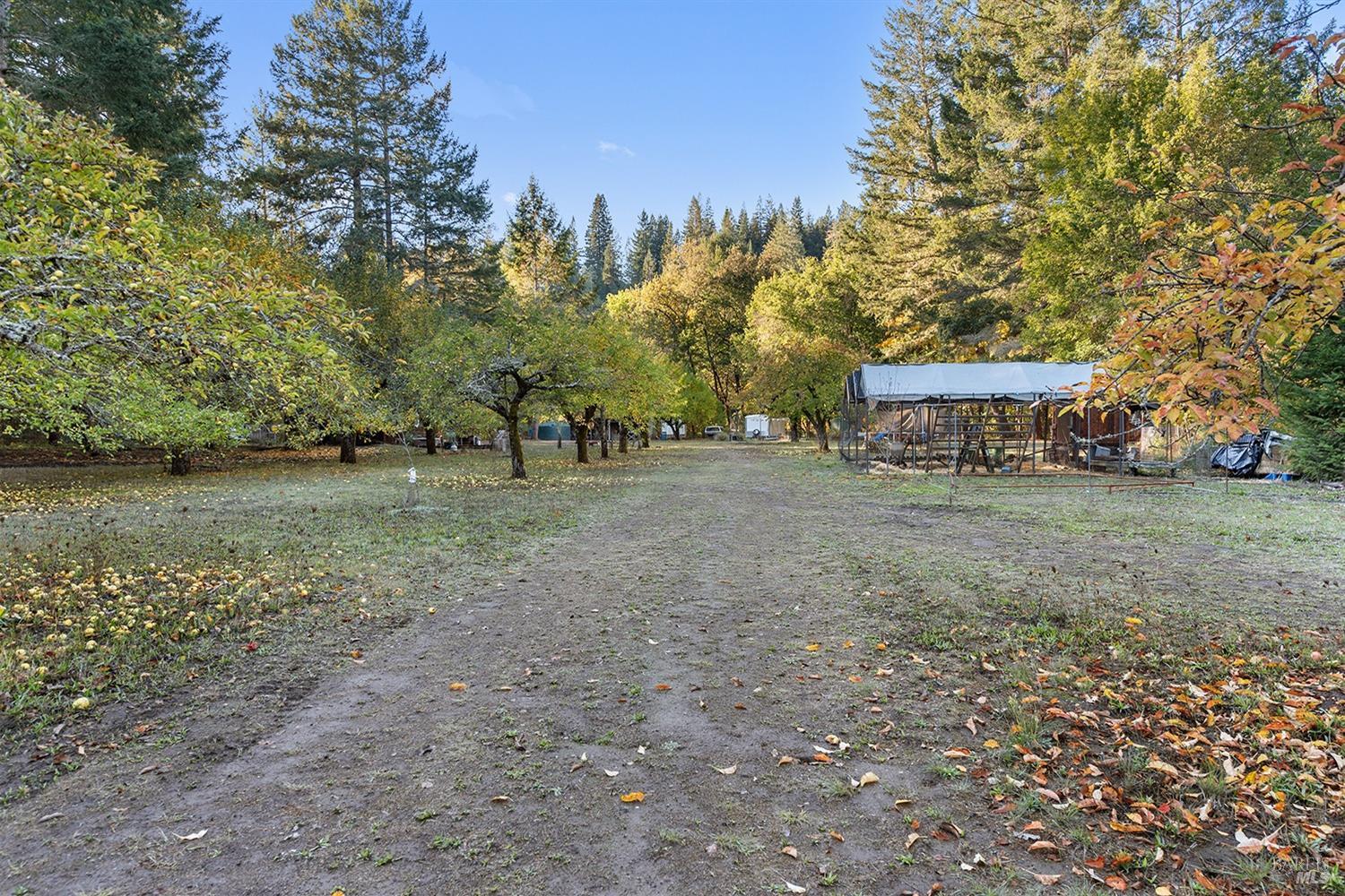 Detail Gallery Image 53 of 64 For 3550 Bones Rd, Sebastopol,  CA 95472 - 2 Beds | 2/1 Baths