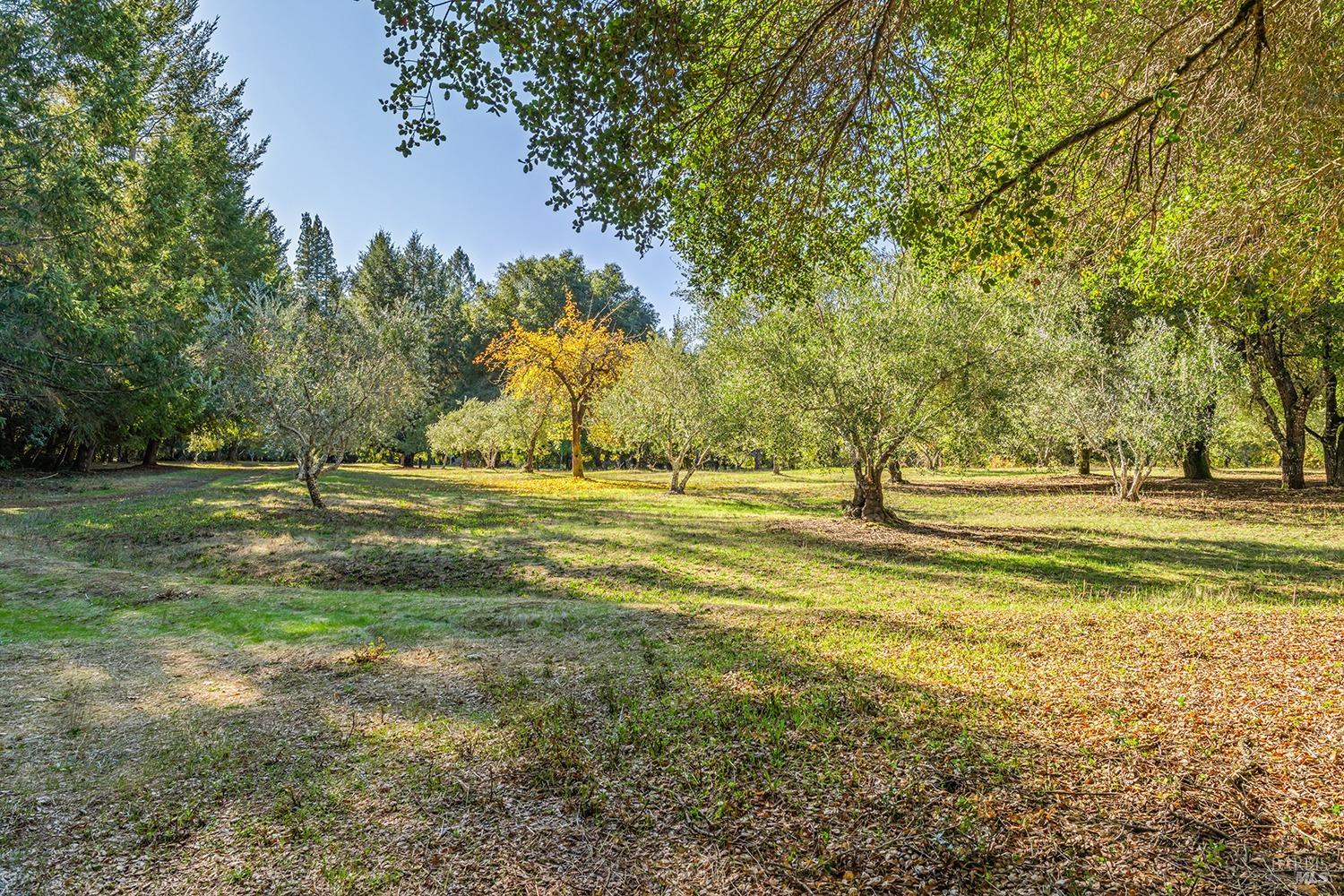 Detail Gallery Image 51 of 64 For 3550 Bones Rd, Sebastopol,  CA 95472 - 2 Beds | 2/1 Baths