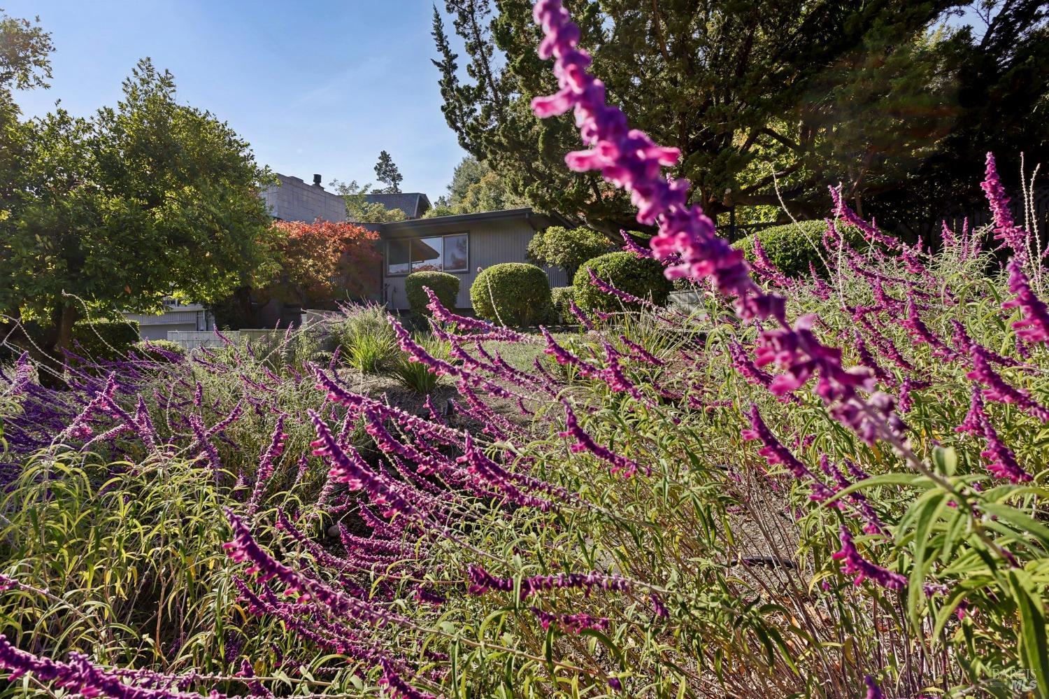 Detail Gallery Image 10 of 73 For 612 Tahos Rd, Orinda,  CA 94563 - 3 Beds | 2 Baths