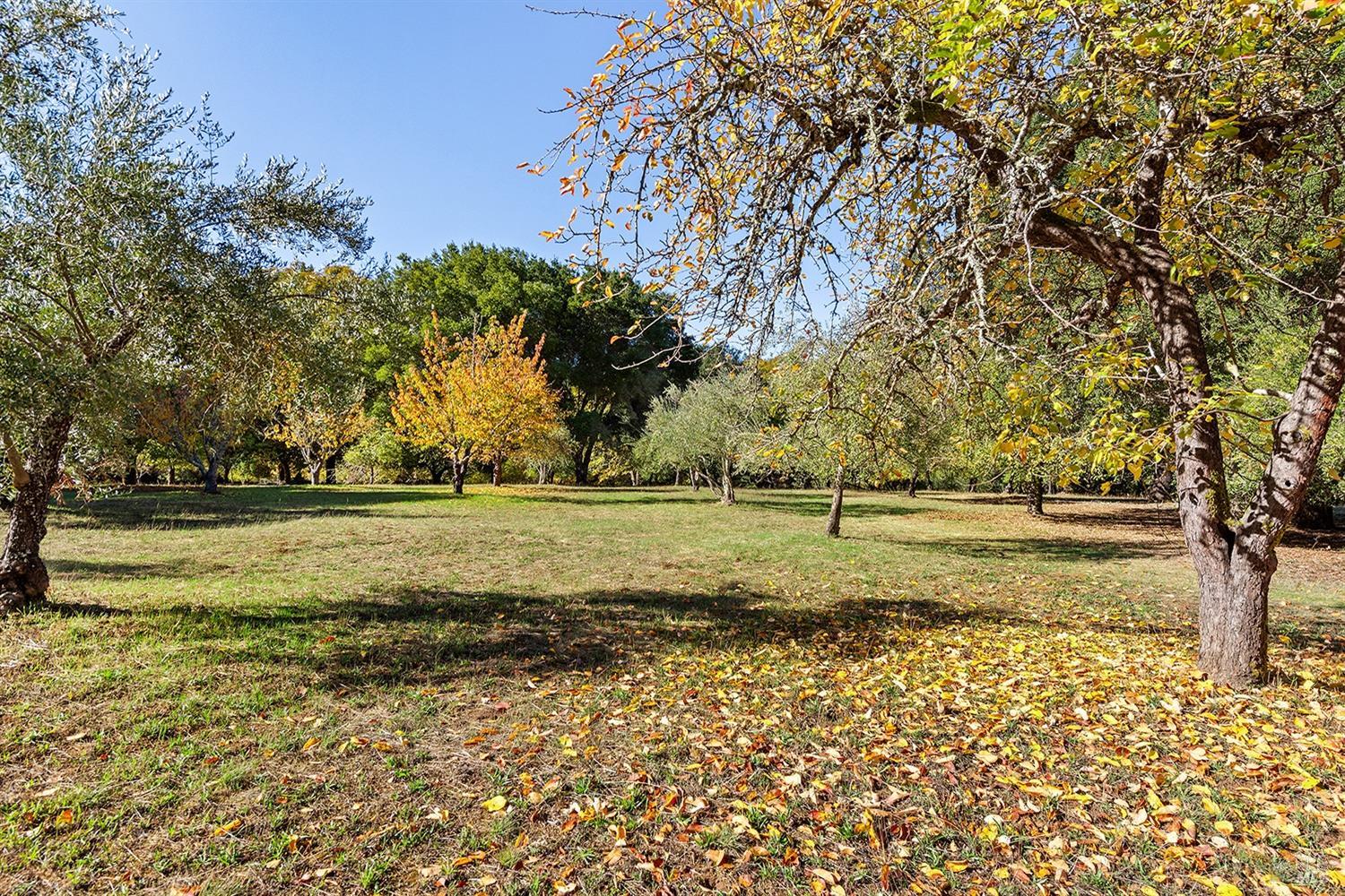 Detail Gallery Image 5 of 64 For 3550 Bones Rd, Sebastopol,  CA 95472 - 2 Beds | 2/1 Baths