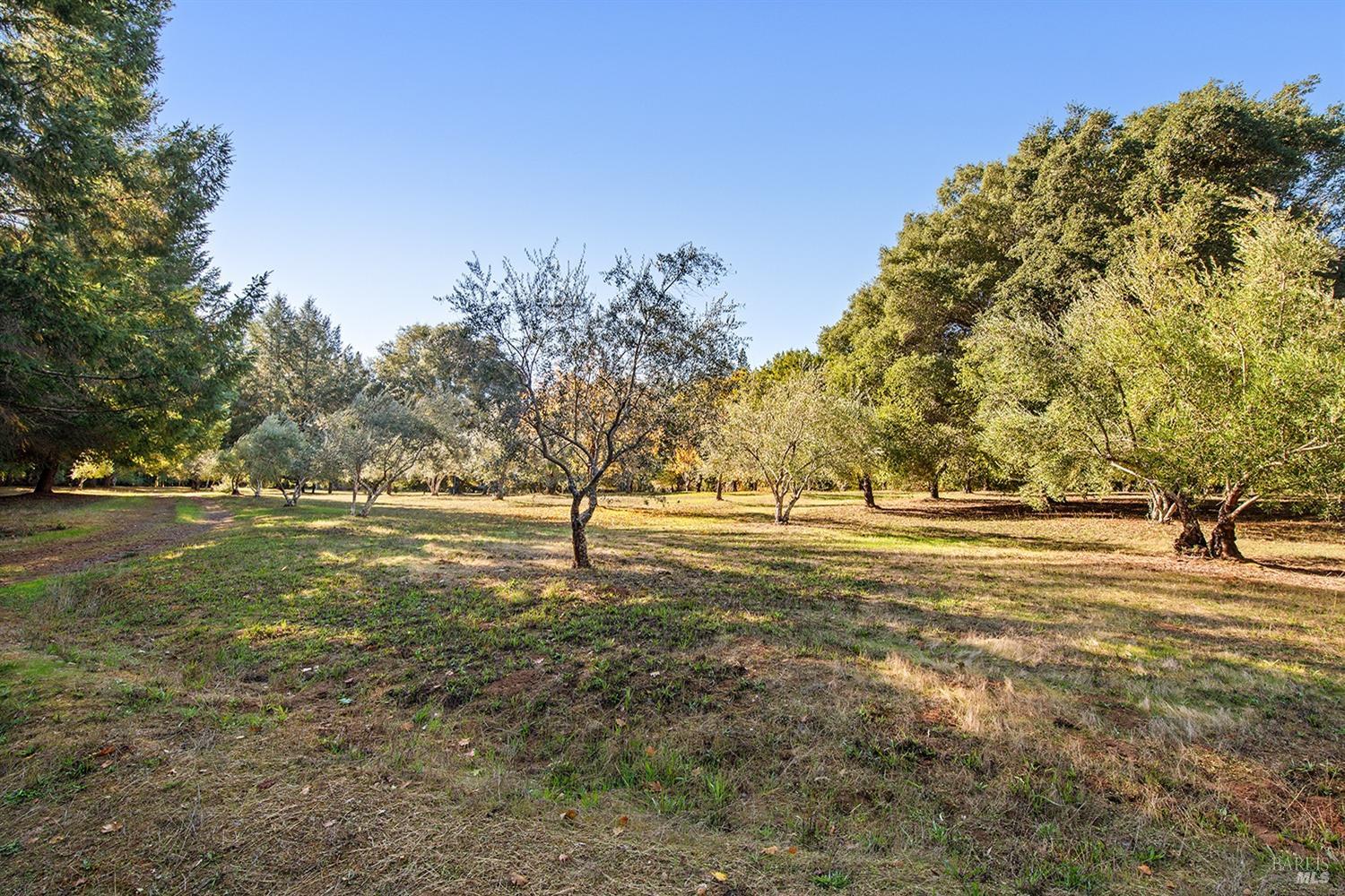 Detail Gallery Image 49 of 64 For 3550 Bones Rd, Sebastopol,  CA 95472 - 2 Beds | 2/1 Baths