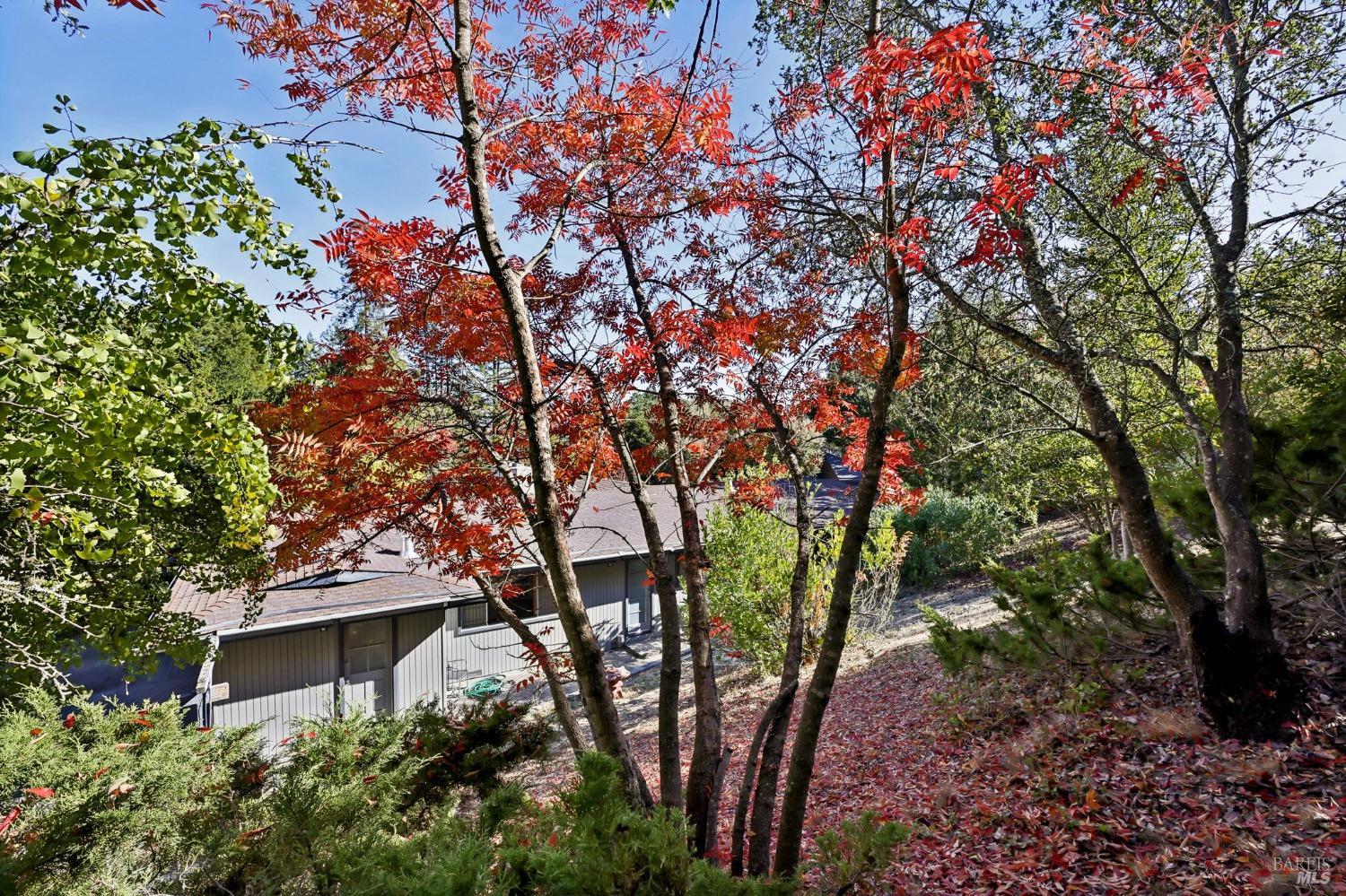 Detail Gallery Image 61 of 73 For 612 Tahos Rd, Orinda,  CA 94563 - 3 Beds | 2 Baths