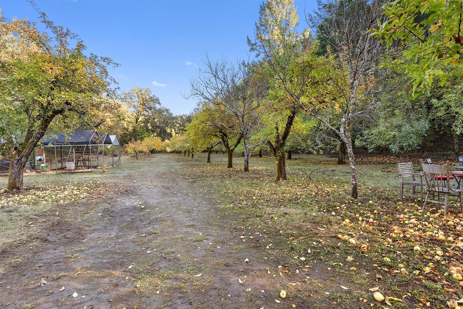 Detail Gallery Image 60 of 64 For 3550 Bones Rd, Sebastopol,  CA 95472 - 2 Beds | 2/1 Baths