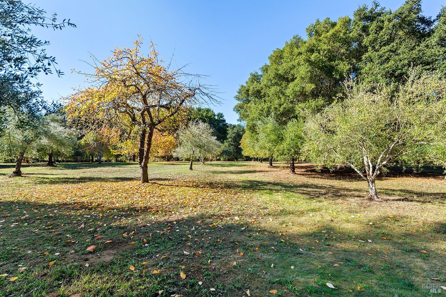 Detail Gallery Image 48 of 64 For 3550 Bones Rd, Sebastopol,  CA 95472 - 2 Beds | 2/1 Baths