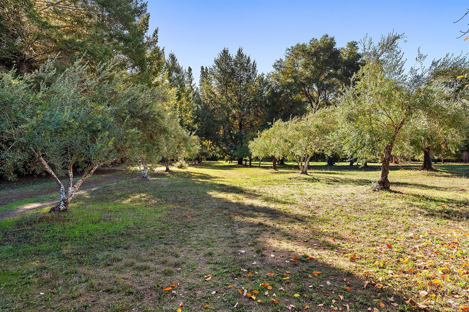 Detail Gallery Image 4 of 64 For 3550 Bones Rd, Sebastopol,  CA 95472 - 2 Beds | 2/1 Baths