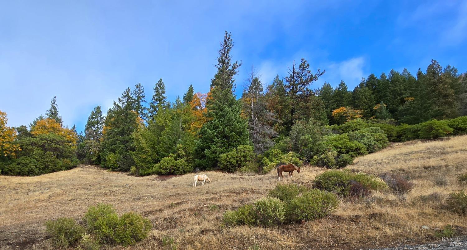 Detail Gallery Image 5 of 38 For 32120 Shimmins Ridge Rd, Willits,  CA 95490 - 3 Beds | 2 Baths