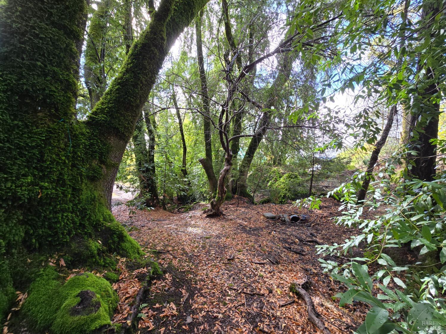 Detail Gallery Image 22 of 38 For 32120 Shimmins Ridge Rd, Willits,  CA 95490 - 3 Beds | 2 Baths