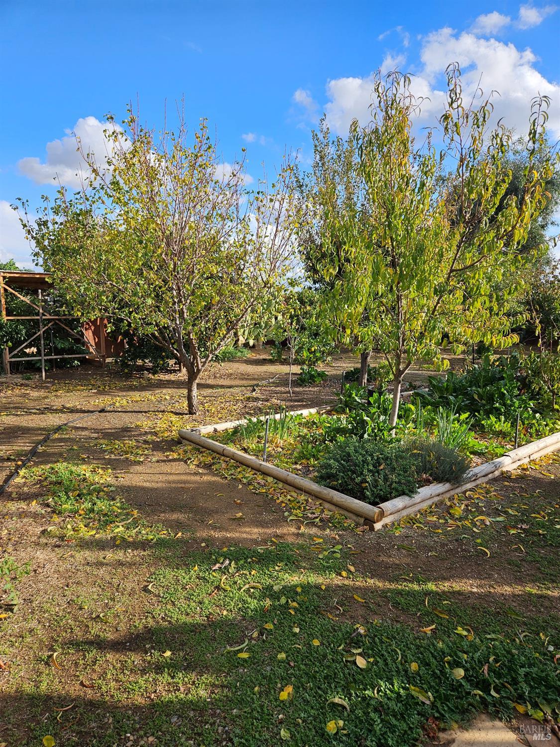 Detail Gallery Image 21 of 21 For 2133 Blossom Ave, Corning,  CA 96021 - 3 Beds | 2 Baths