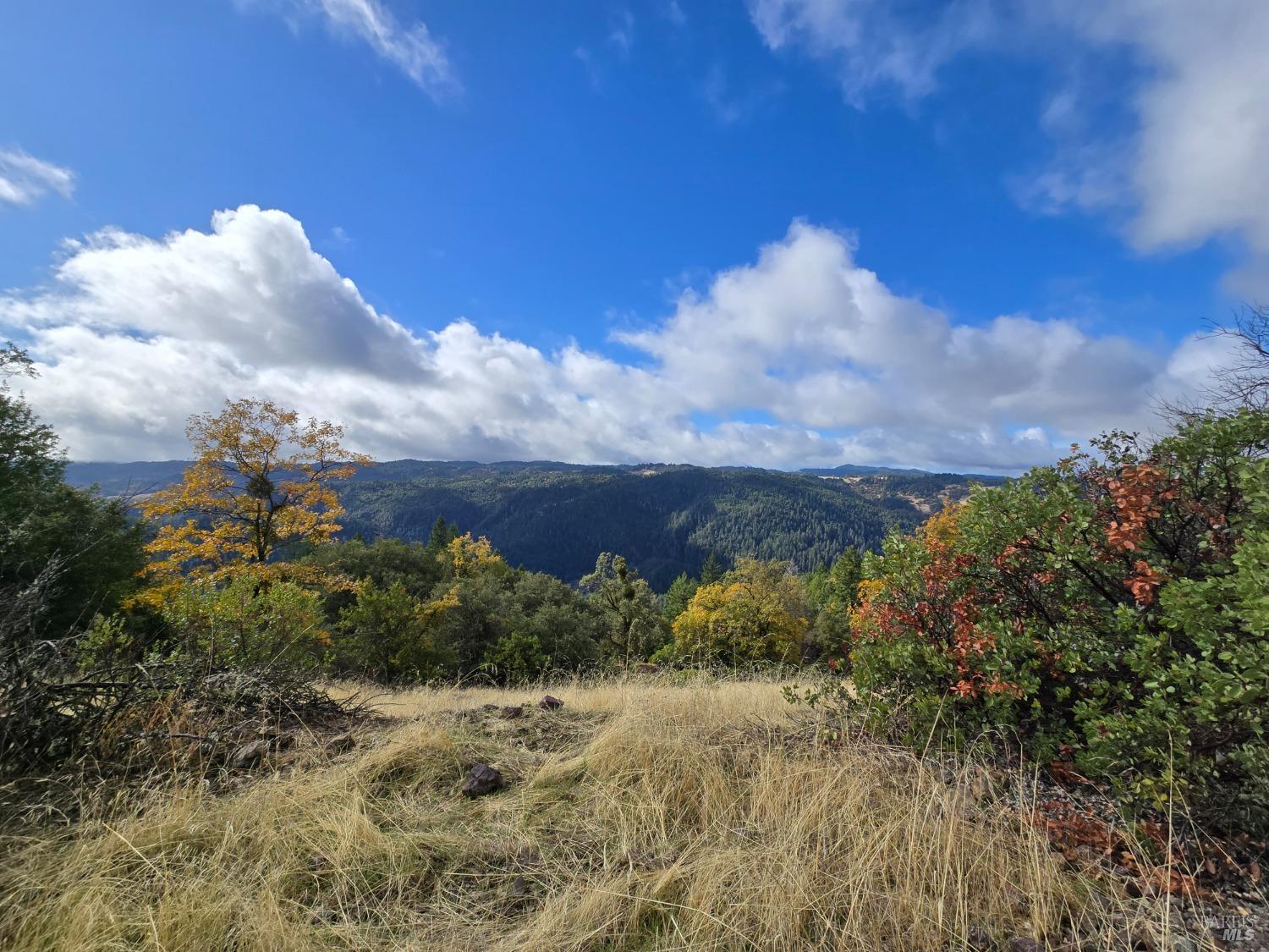 Detail Gallery Image 4 of 38 For 32120 Shimmins Ridge Rd, Willits,  CA 95490 - 3 Beds | 2 Baths