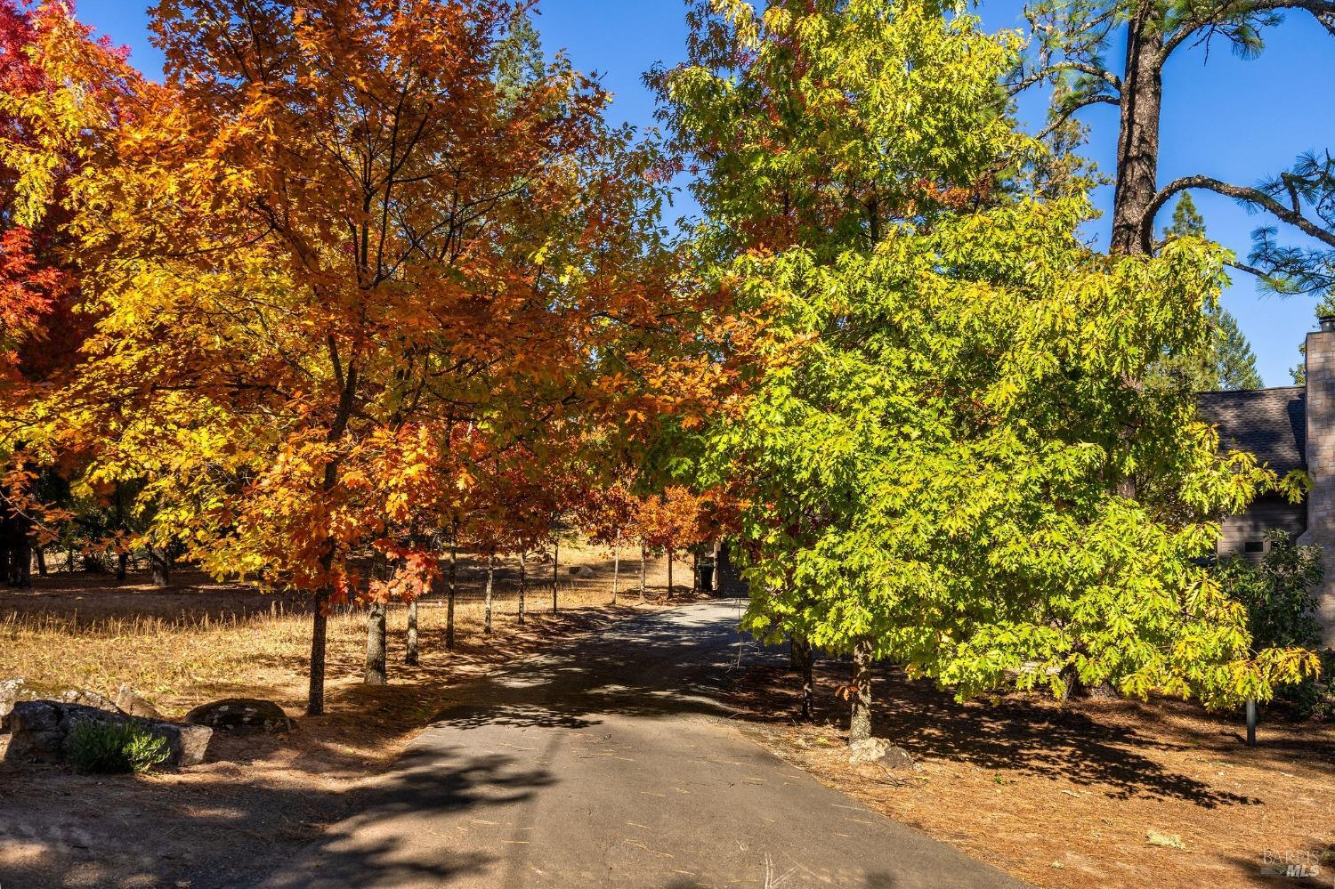 Detail Gallery Image 6 of 77 For 1250 Las Posadas Rd, Angwin,  CA 94508 - 3 Beds | 3/1 Baths