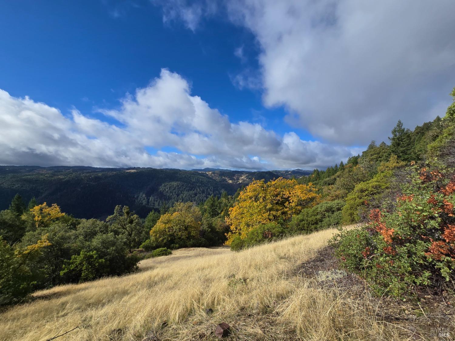 Detail Gallery Image 6 of 38 For 32120 Shimmins Ridge Rd, Willits,  CA 95490 - 3 Beds | 2 Baths