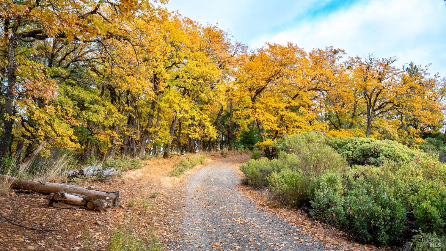 Detail Gallery Image 3 of 53 For 3500 Goat Rock Rd, Ukiah,  CA 95482 - 2 Beds | 2 Baths