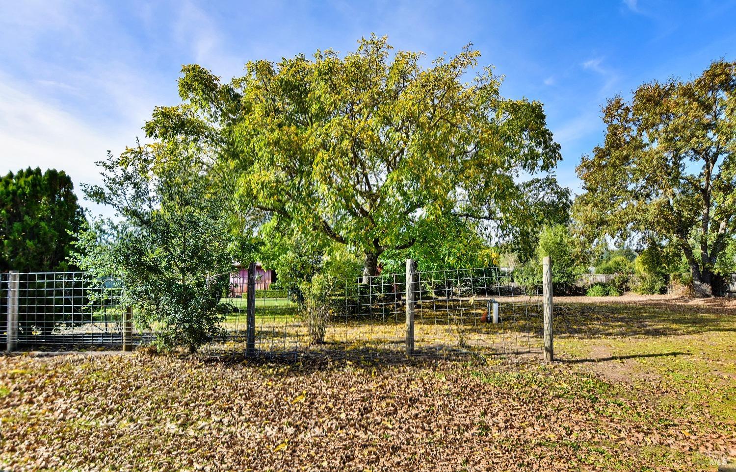 Detail Gallery Image 30 of 36 For 1440 Lovall Valley Rd, Sonoma,  CA 9476 - 2 Beds | 2 Baths