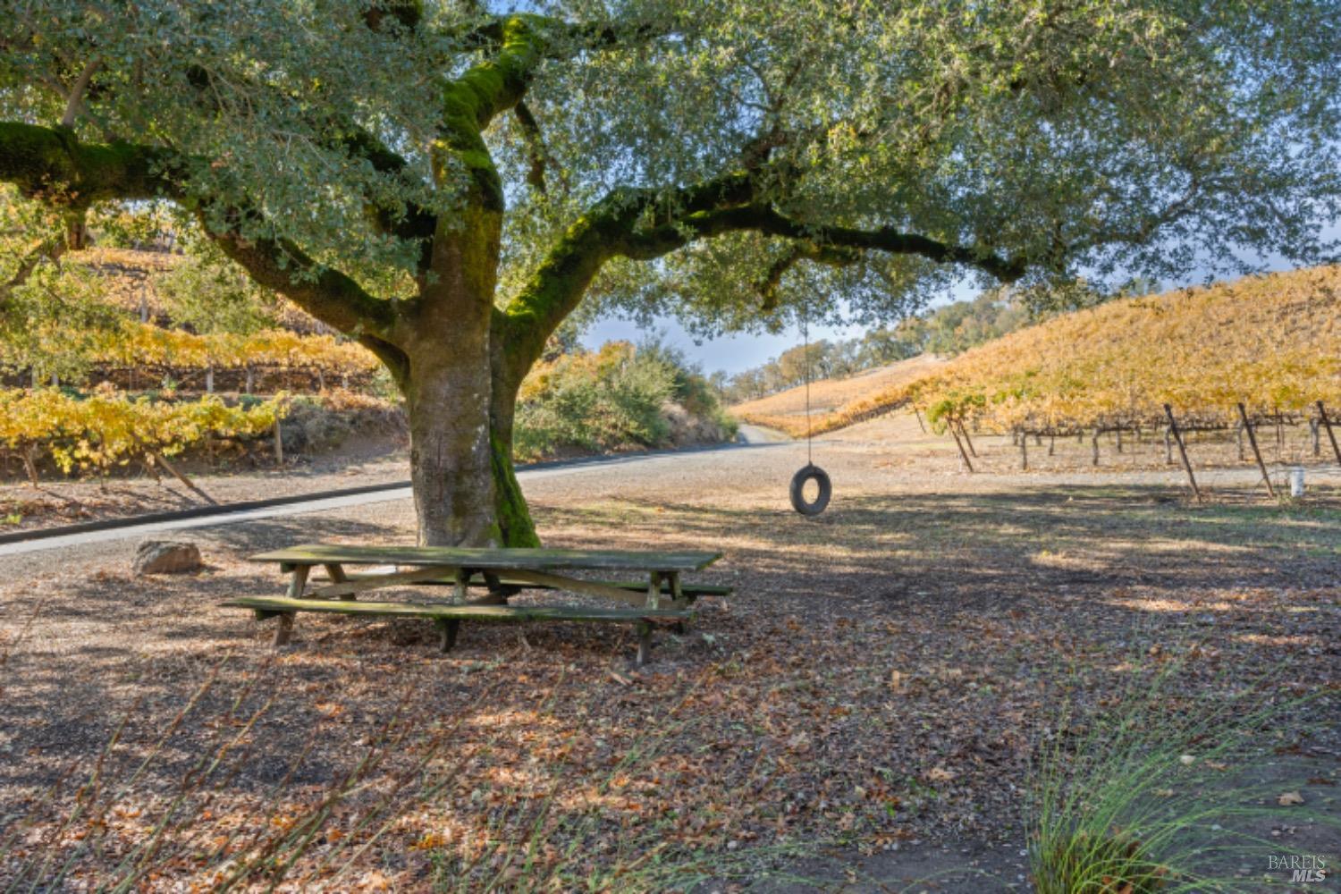 Detail Gallery Image 50 of 61 For 1201 Rogers Ln, Healdsburg,  CA 95448 - 3 Beds | 2 Baths