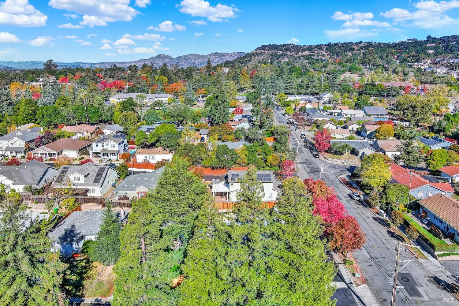 Detail Gallery Image 93 of 98 For 1045 Terrace Dr, Napa,  CA 94559 - 4 Beds | 2 Baths