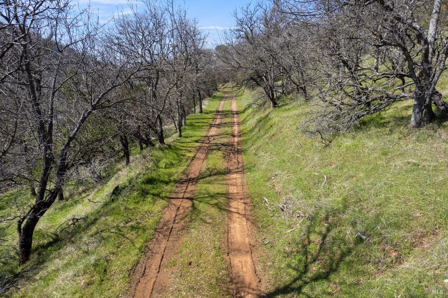 Detail Gallery Image 11 of 19 For 8250 Little Borax Lake Rd, Kelseyville,  CA 95451 - – Beds | – Baths