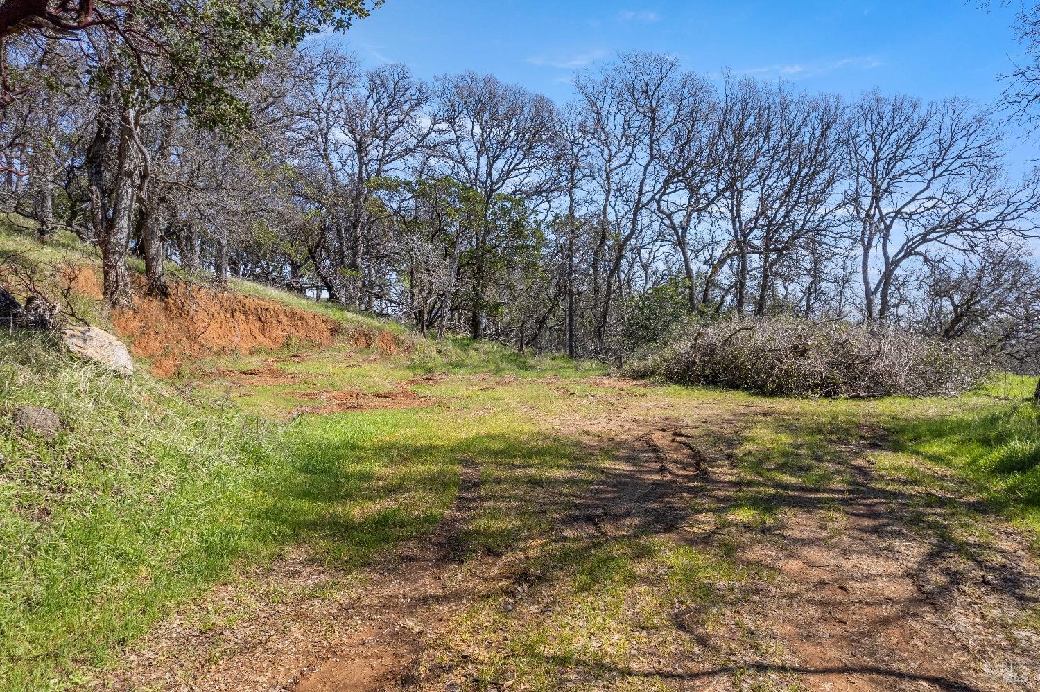 Detail Gallery Image 12 of 19 For 8250 Little Borax Lake Rd, Kelseyville,  CA 95451 - – Beds | – Baths