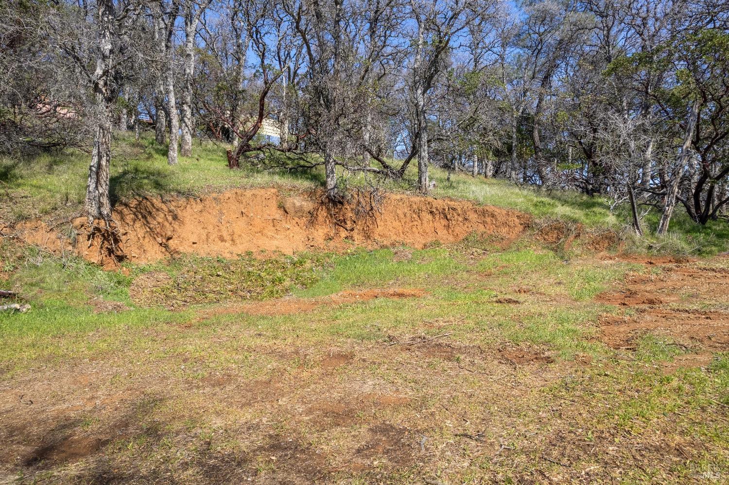 Detail Gallery Image 13 of 19 For 8250 Little Borax Lake Rd, Kelseyville,  CA 95451 - – Beds | – Baths