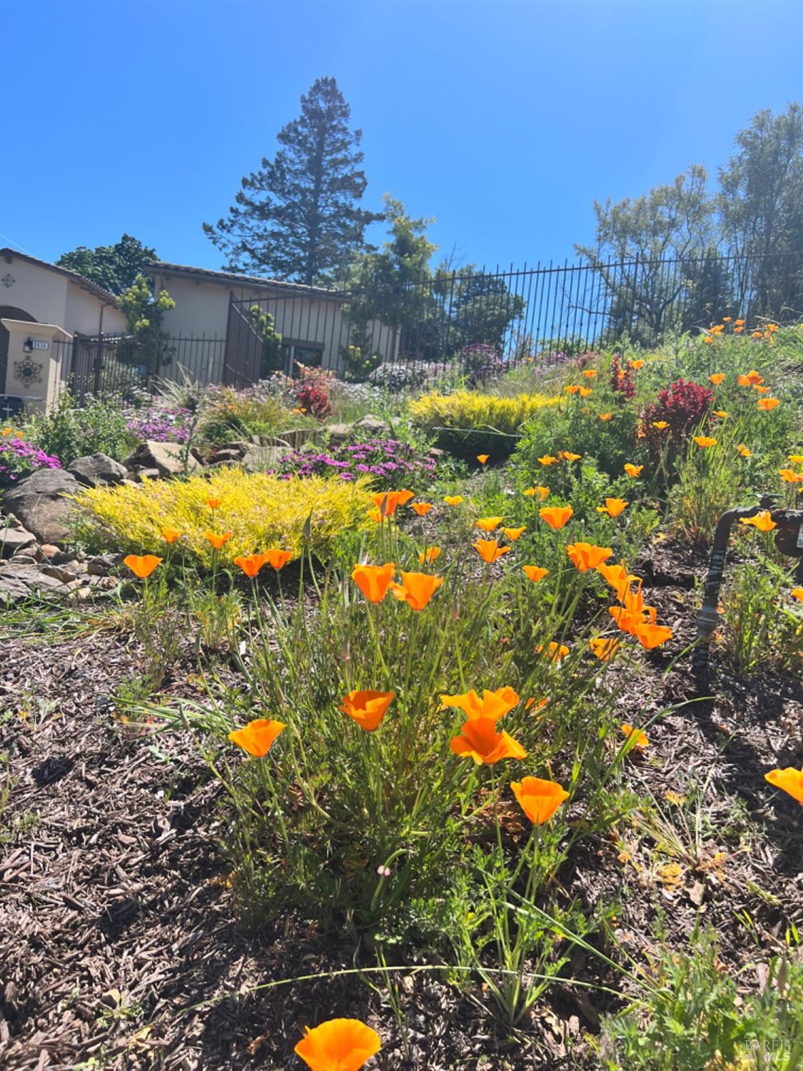 Detail Gallery Image 45 of 50 For 3936 Skyfarm Dr, Santa Rosa,  CA 95403 - 4 Beds | 4/1 Baths