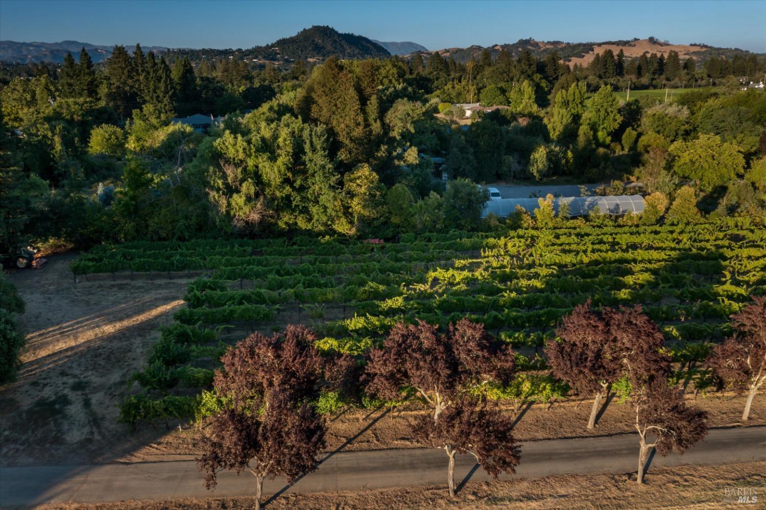 Detail Gallery Image 68 of 82 For 515 Westside Rd, Healdsburg,  CA 95448 - 4 Beds | 4/2 Baths