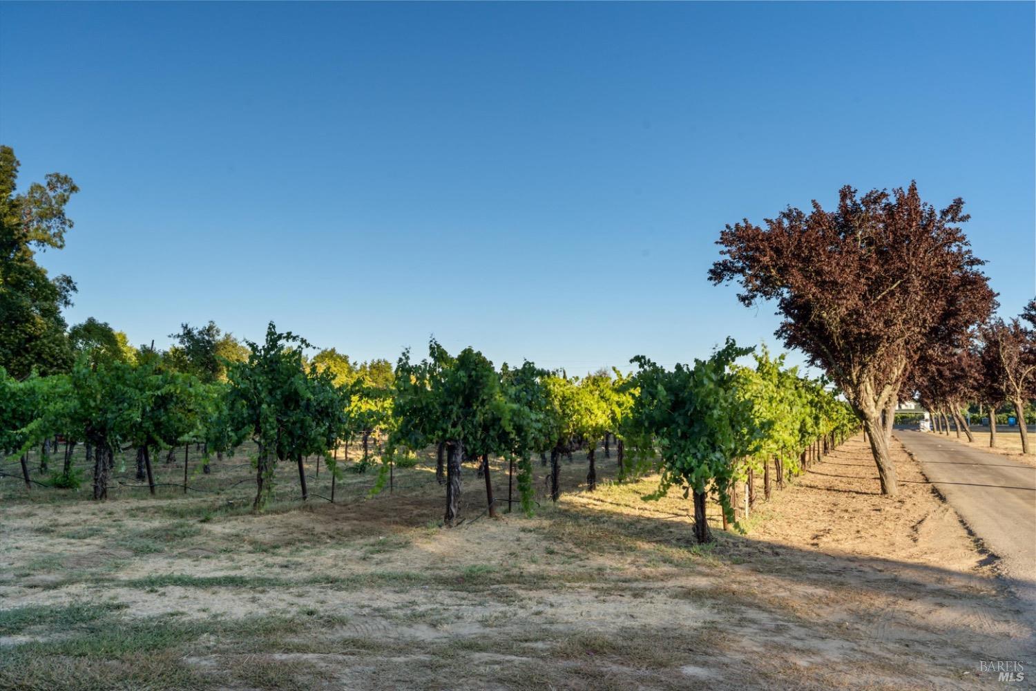 Detail Gallery Image 47 of 82 For 515 Westside Rd, Healdsburg,  CA 95448 - 4 Beds | 4/2 Baths