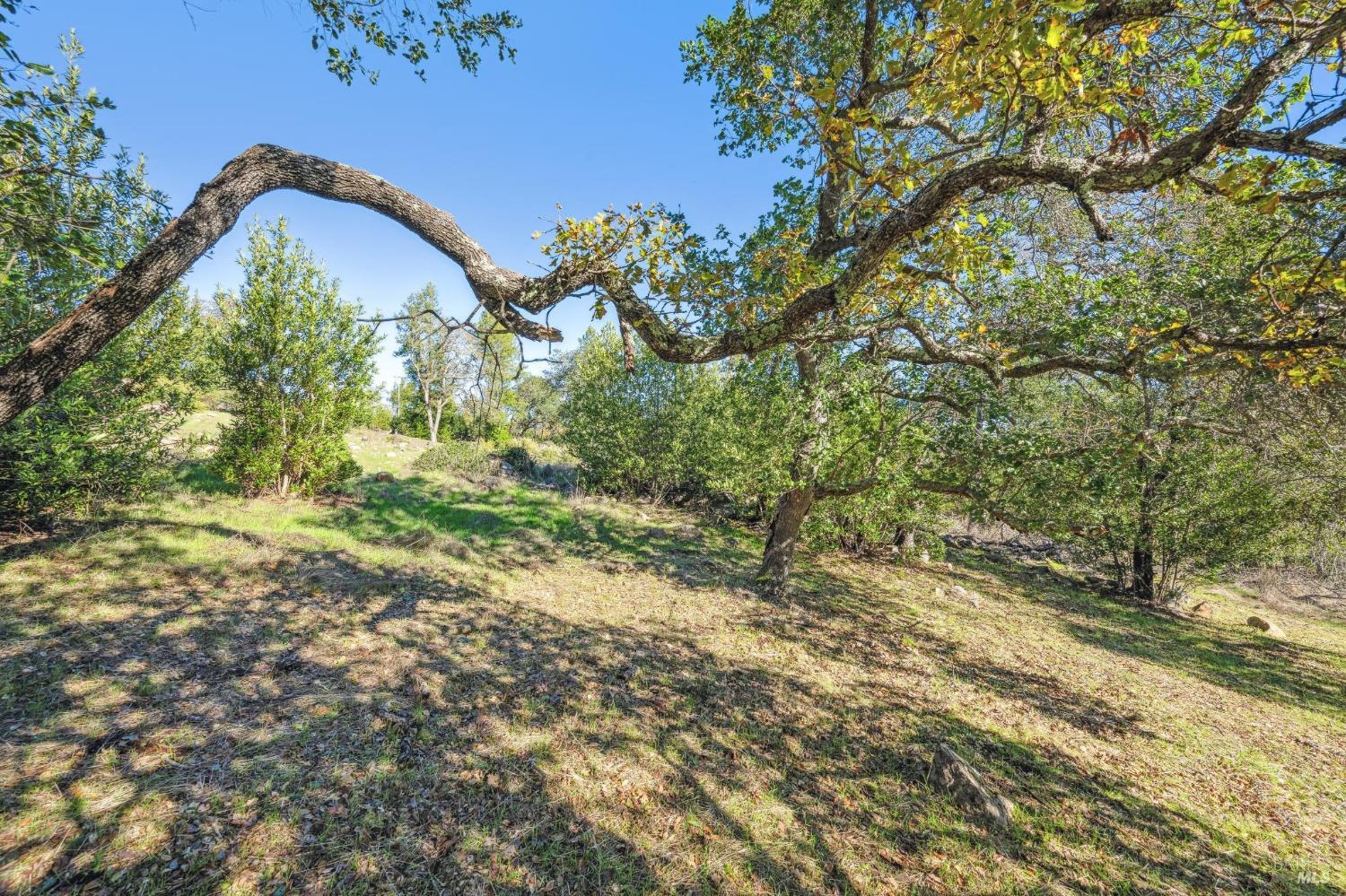 Detail Gallery Image 23 of 36 For 2730 Bennett Ridge Rd, Santa Rosa,  CA 95404 - – Beds | – Baths