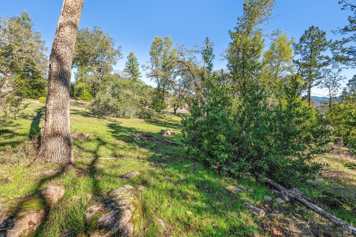 Detail Gallery Image 16 of 36 For 2730 Bennett Ridge Rd, Santa Rosa,  CA 95404 - – Beds | – Baths