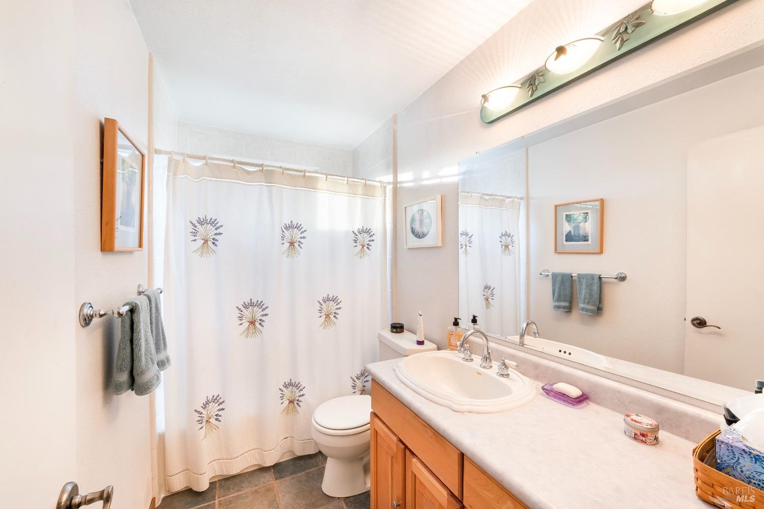 Detail Gallery Image 34 of 91 For 5625 Occidental Rd, Santa Rosa,  CA 95401 - 3 Beds | 2/1 Baths