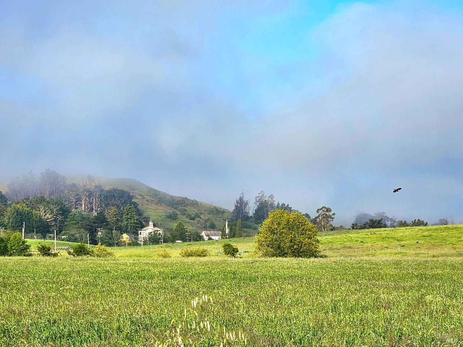 Detail Gallery Image 39 of 41 For 2250 Joy Rd, Occidental,  CA 95465 - 3 Beds | 2/1 Baths