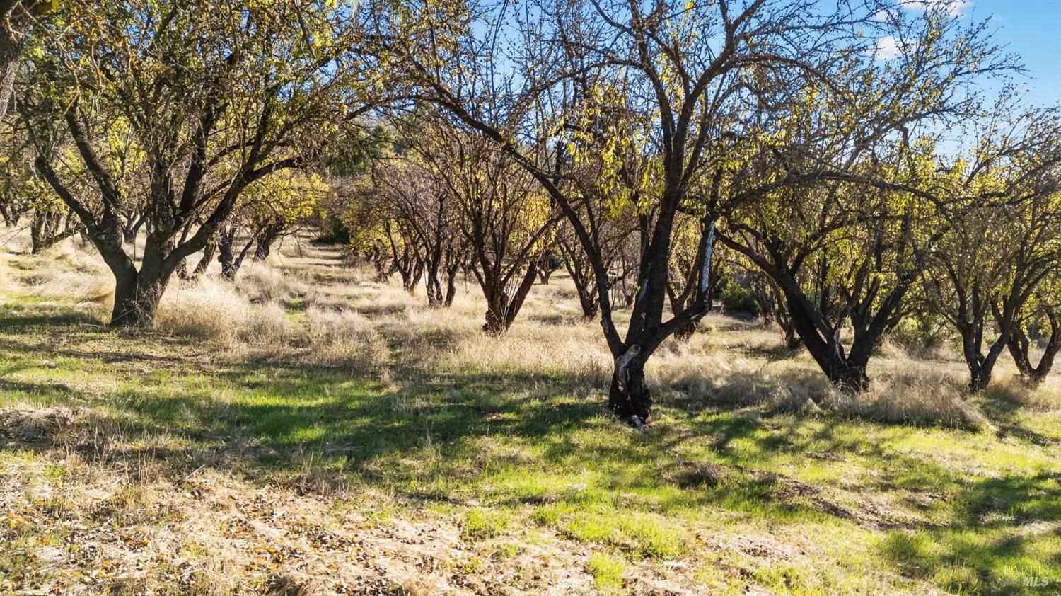 Detail Gallery Image 40 of 47 For 210 Morine Ranch Rd, Clearlake Oaks,  CA 95423 - 3 Beds | 1/1 Baths