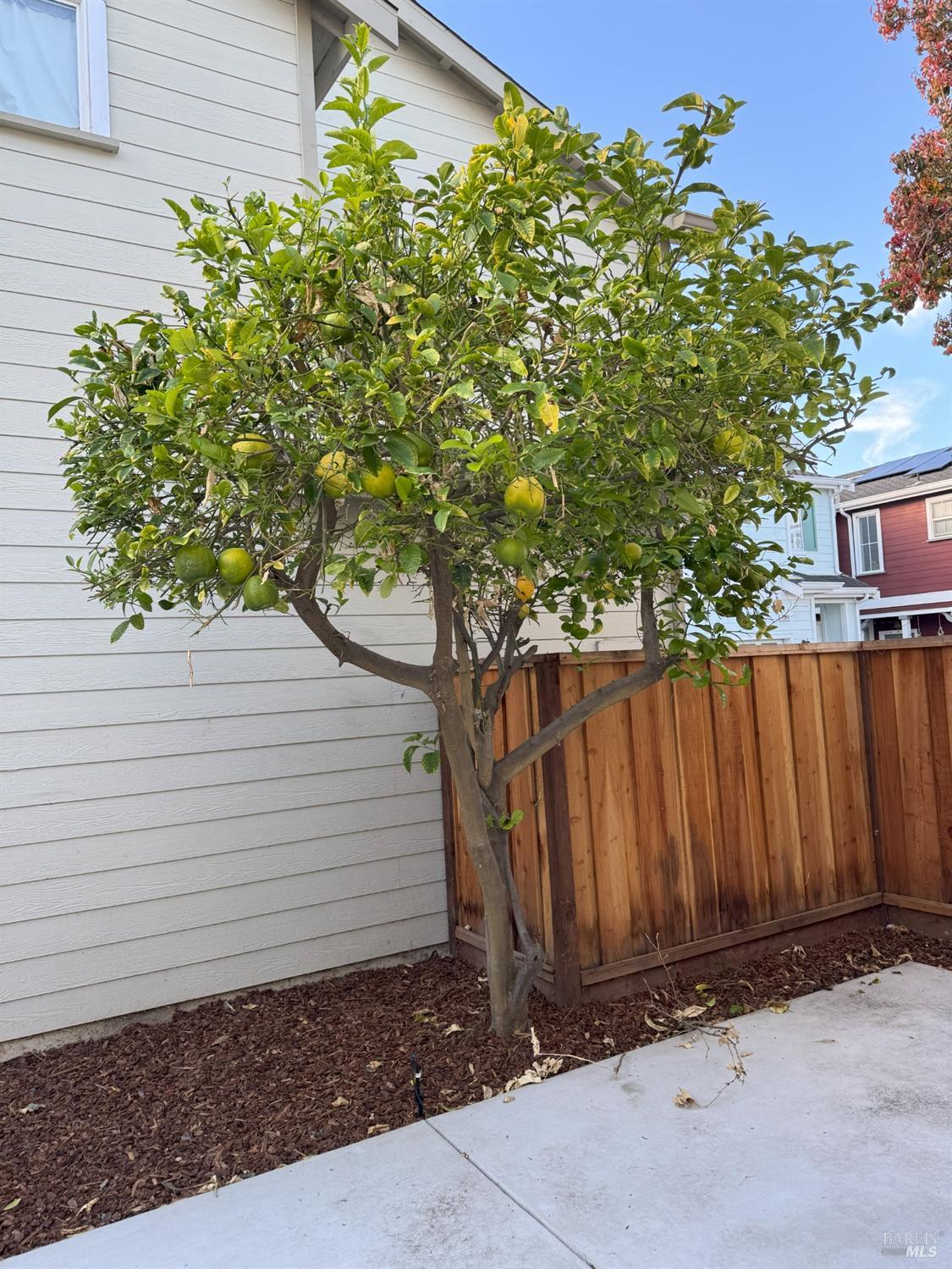 Detail Gallery Image 24 of 27 For 7340 Carter Ave, Newark,  CA 94560 - 3 Beds | 2/1 Baths