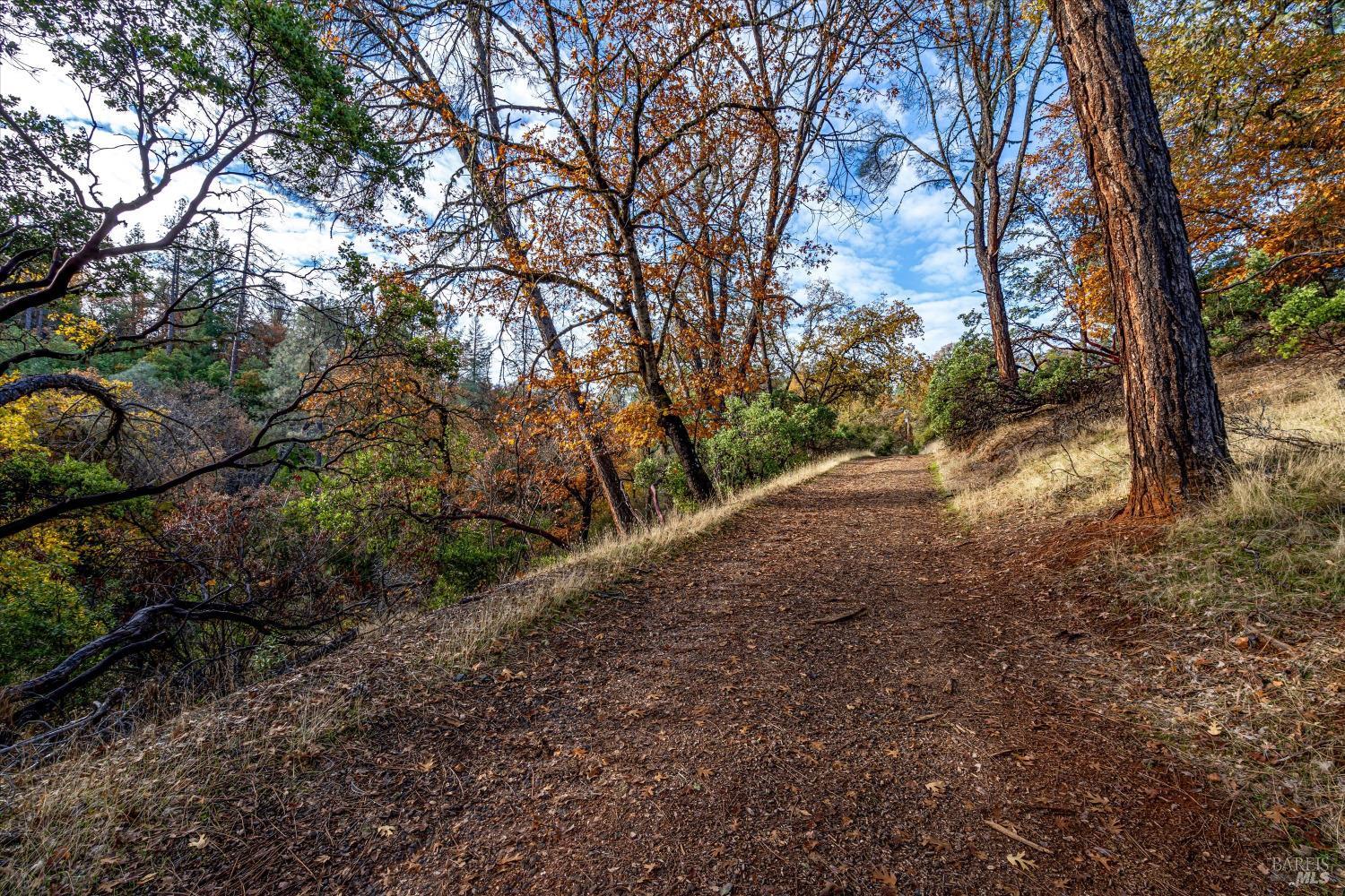 Detail Gallery Image 10 of 63 For 1625 Clover Valley Rd, Upper Lake,  CA 95485 - 5 Beds | 4 Baths