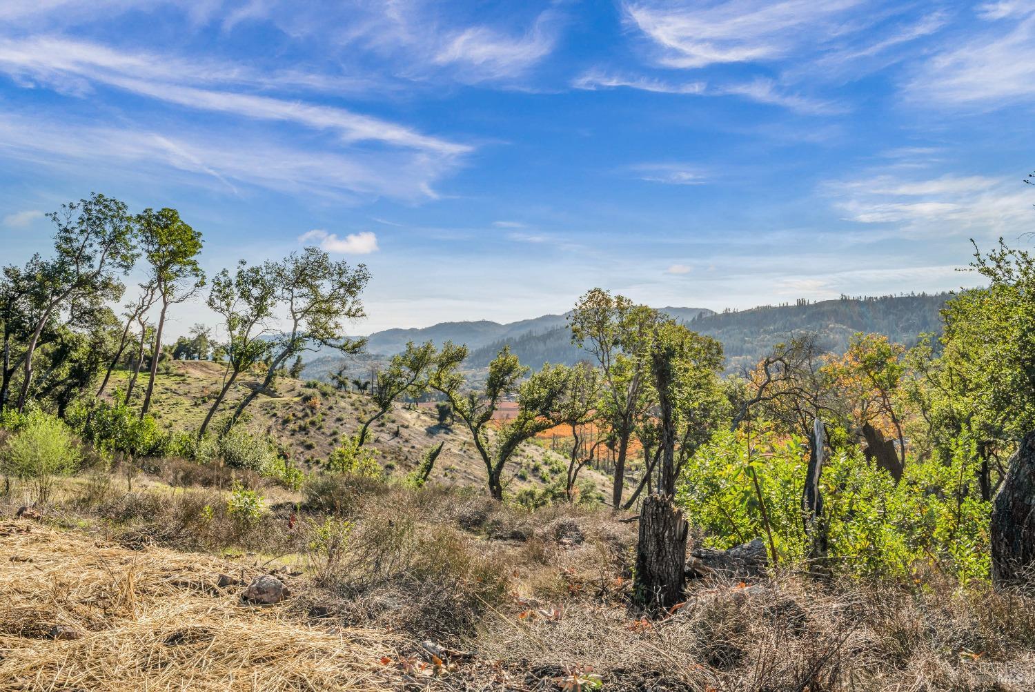 Detail Gallery Image 27 of 39 For 3683 Silverado Trl, Saint Helena,  CA 94574 - – Beds | – Baths