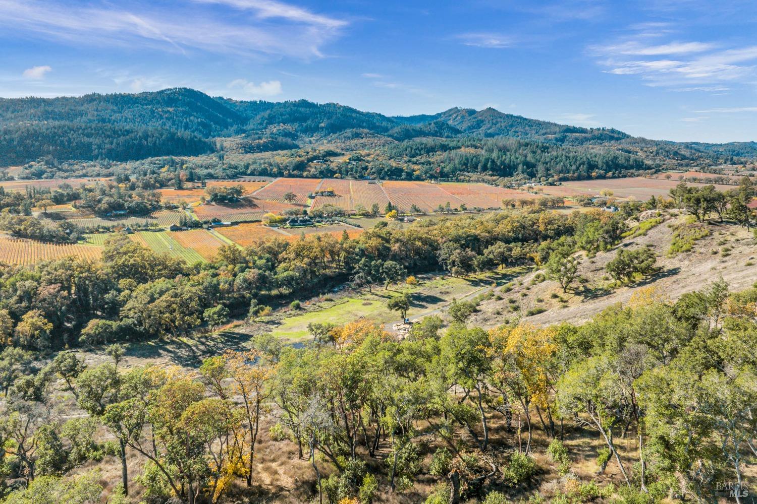 Detail Gallery Image 36 of 39 For 3683 Silverado Trl, Saint Helena,  CA 94574 - – Beds | – Baths