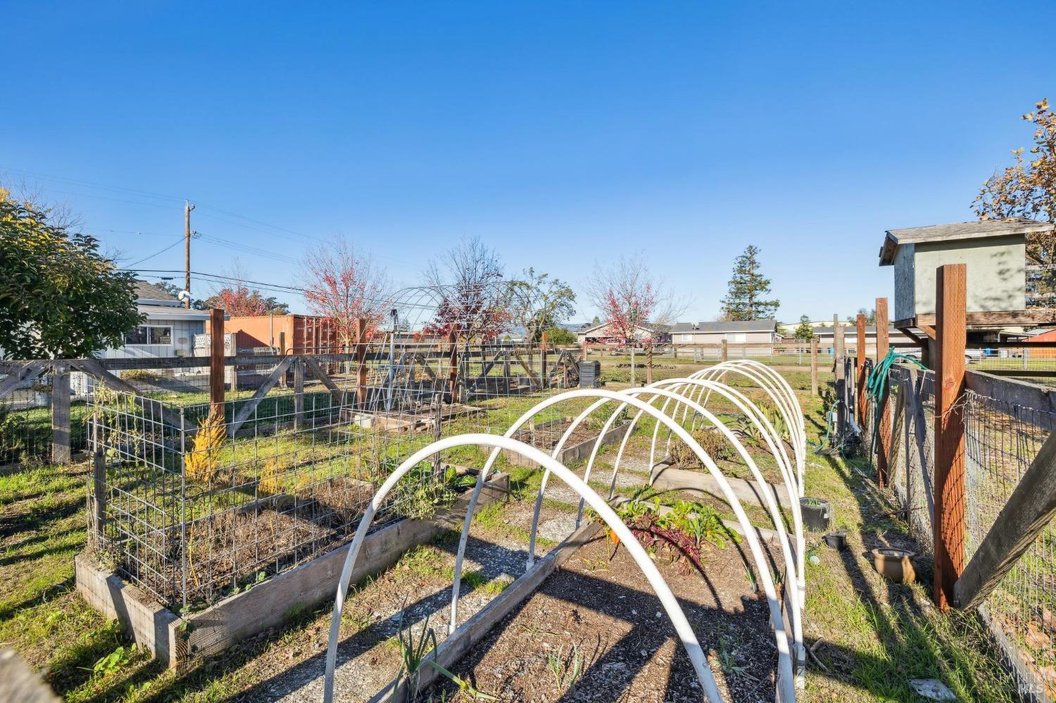 Detail Gallery Image 22 of 62 For 23202 Maffei Rd, Sonoma,  CA 95476 - 3 Beds | 1/1 Baths